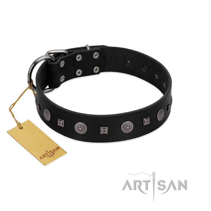 "Mr. Elegance" Designer FDT Artisan Black Leather Doberman Collar with Silver-Like Studs