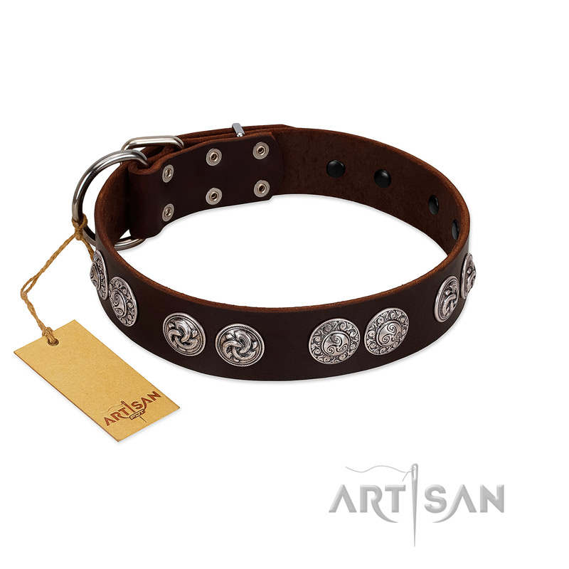 "High and Mighty" FDT Artisan Classy Brown Leather Doberman Collar with Embellished Brooches