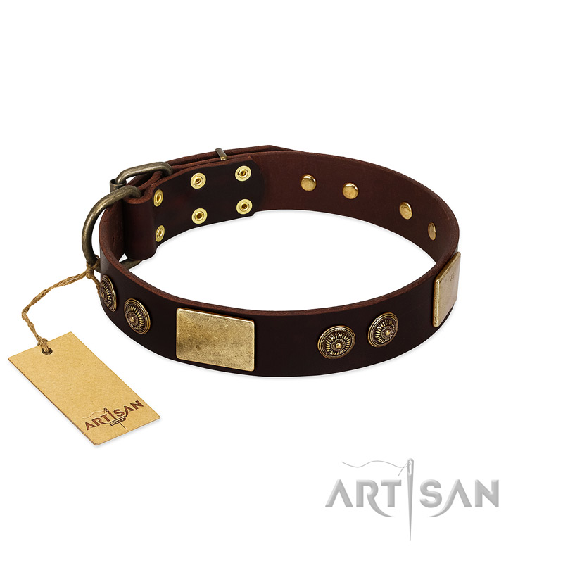 "Bow-Wow Effect" FDT Artisan Brown Leather Doberman Collar with Plates and Ornate Studs