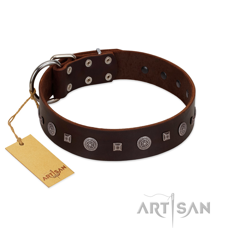 "Pure Sensation" Exclusive FDT Artisan Brown Leather Doberman Collar with Fancy Brooches and Studs