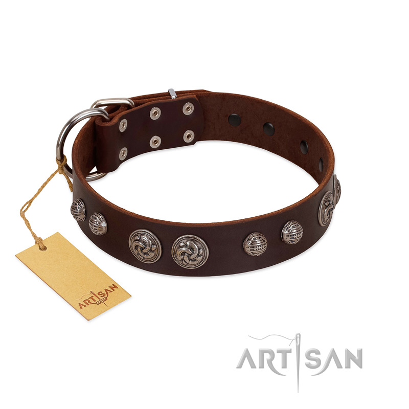 "Choco Brownie" FDT Artisan Brown Leather Doberman Collar Adorned with Silver-Like Conchos