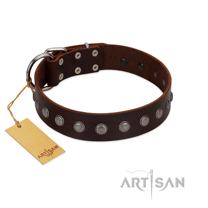 "Spring Flower" Stylish FDT Artisan Brown Leather Doberman Collar for Comfy Walks