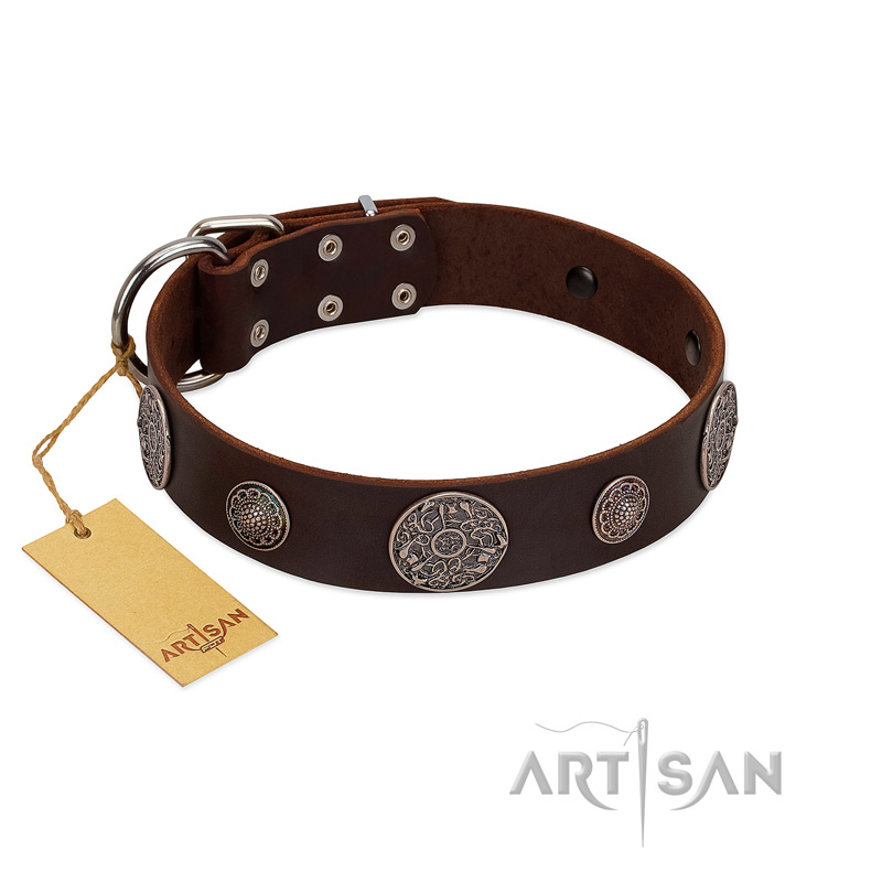 "Flashy Woof" FDT Artisan Brown Leather Doberman Collar with Chrome Plated Brooches