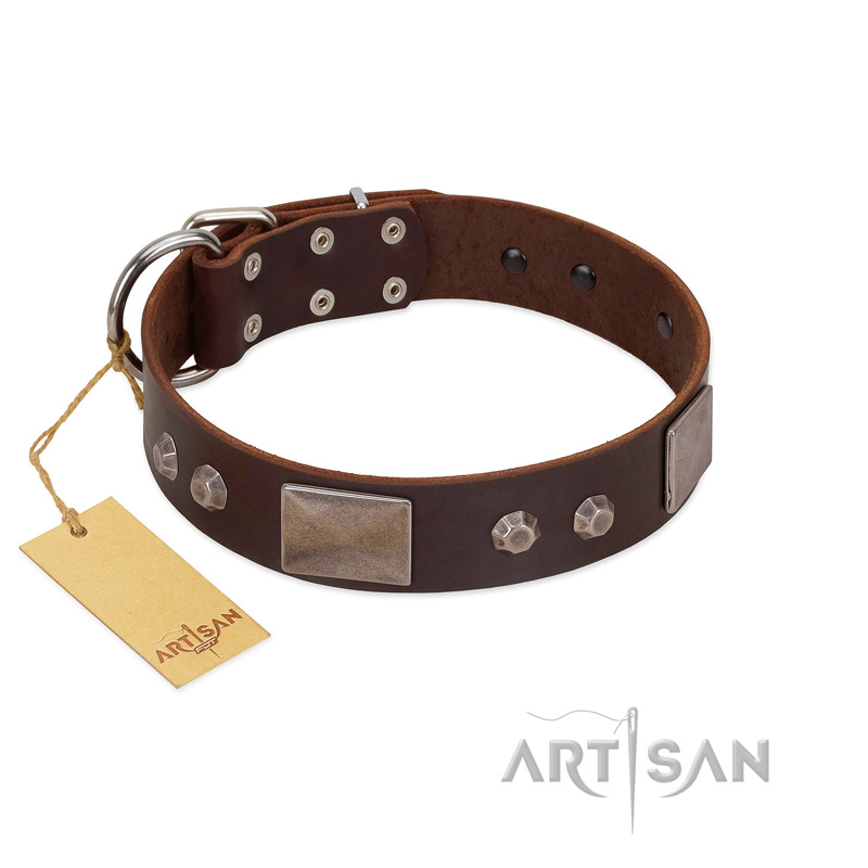 "Stone Stars" Stylish Handmade FDT Artisan Brown Leather Doberman Collar