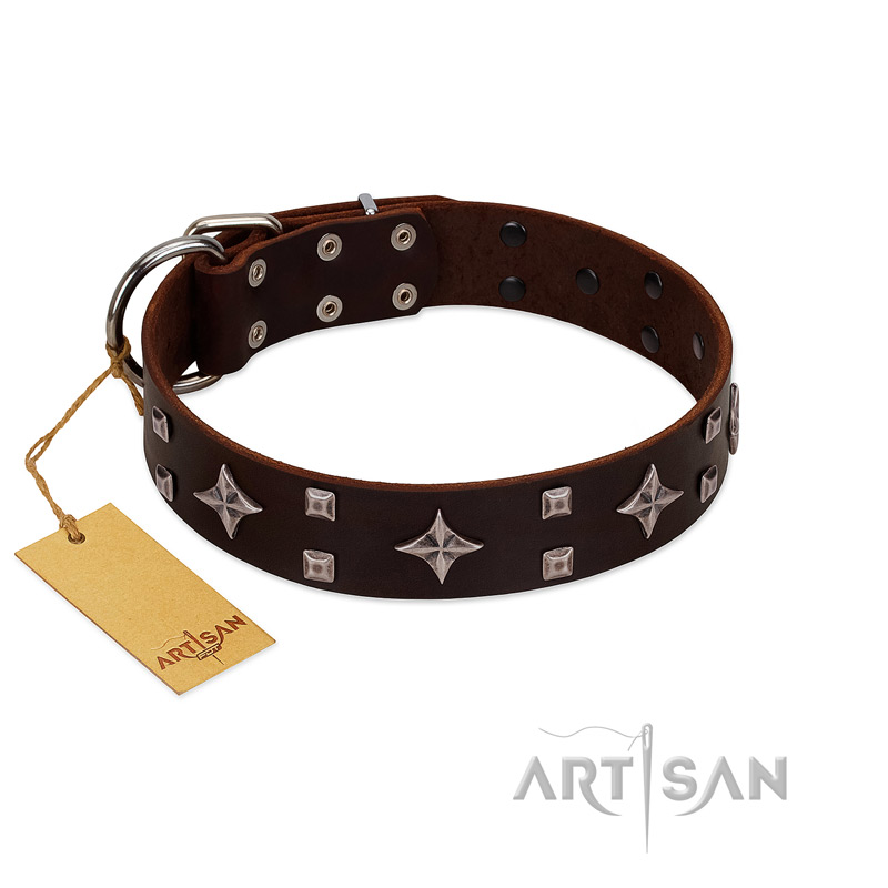 "Trendy Candy" FDT Artisan Brown Leather Doberman Collar Adorned with Stars and Tiny Squares - Click Image to Close
