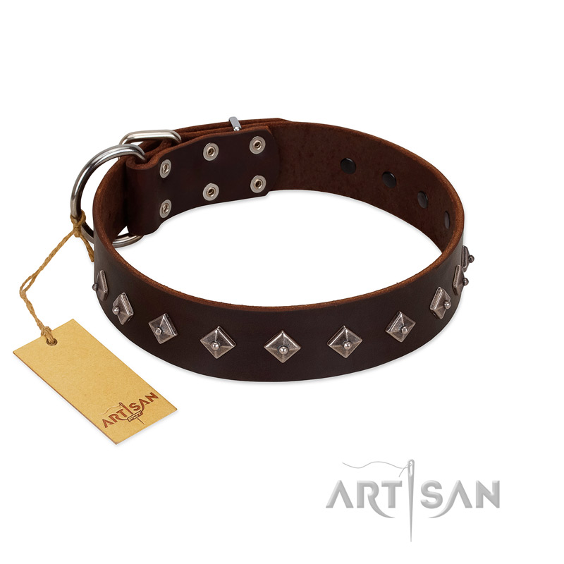 "Boundless Energy" Premium Quality FDT Artisan Brown Designer Leather Doberman Collar with Small Pyramids