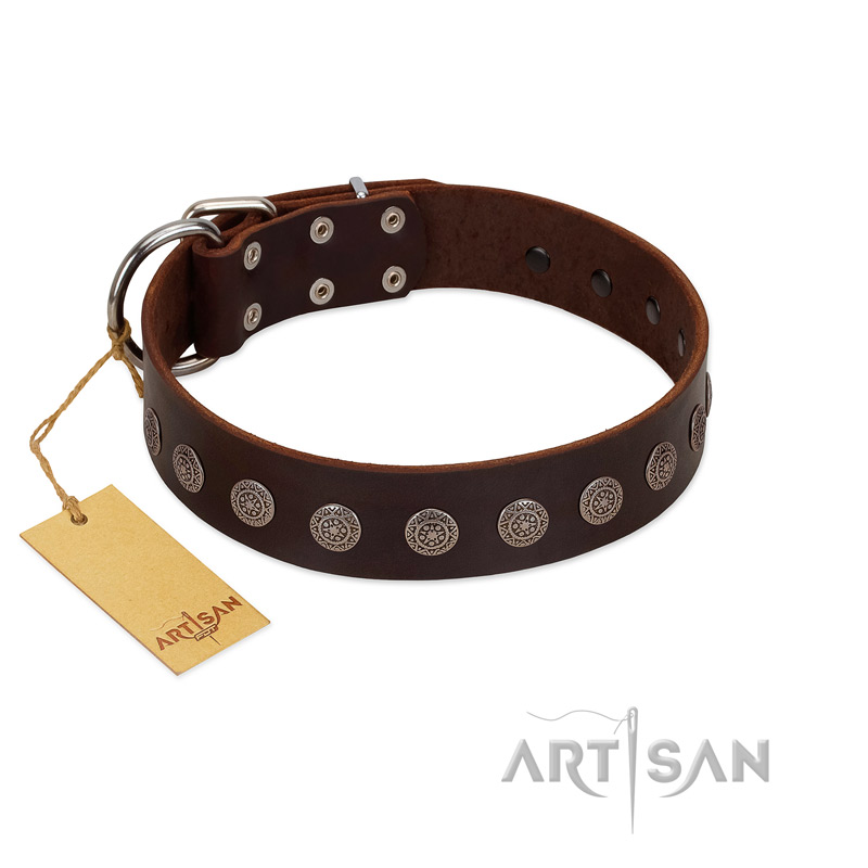 "Starry-Eyed" Best Quality FDT Artisan Brown Designer Leather Doberman Collar with Small Plates