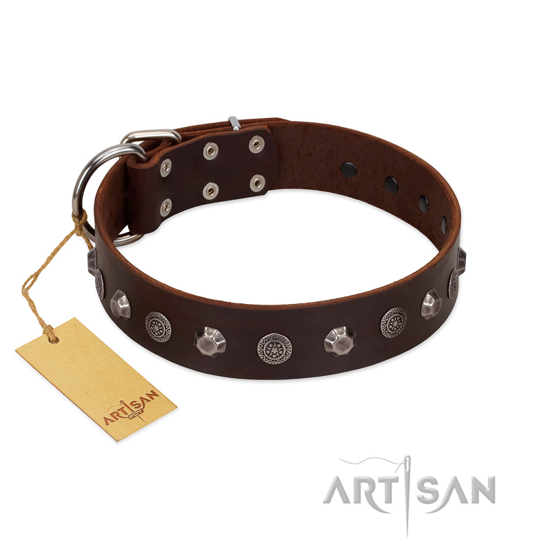 "Dark Chocolate" Handmade FDT Artisan Brown Leather Doberman Collar with Studs