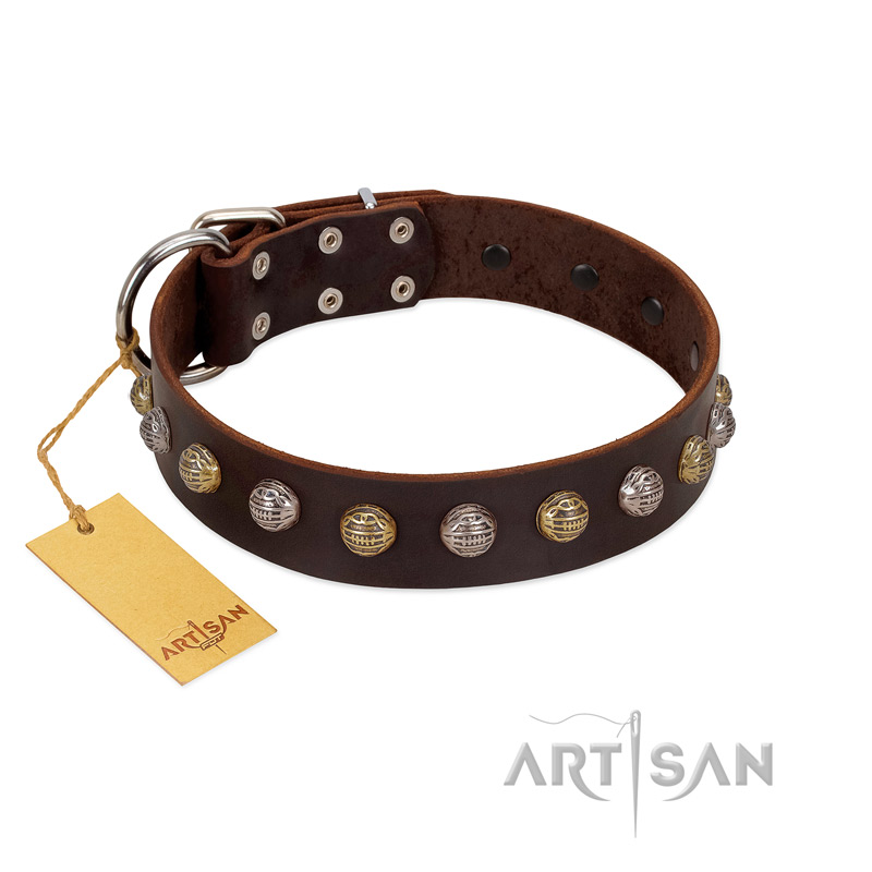 "Gape Buster" FDT Artisan Brown Leather Doberman Collar with One Row of Studs