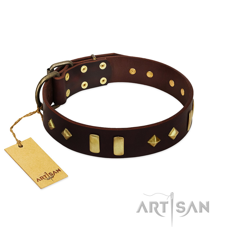 "Blinking Illusion" FDT Artisan Brown Leather Doberman Collar with Old Bronze-like Studs and Plates