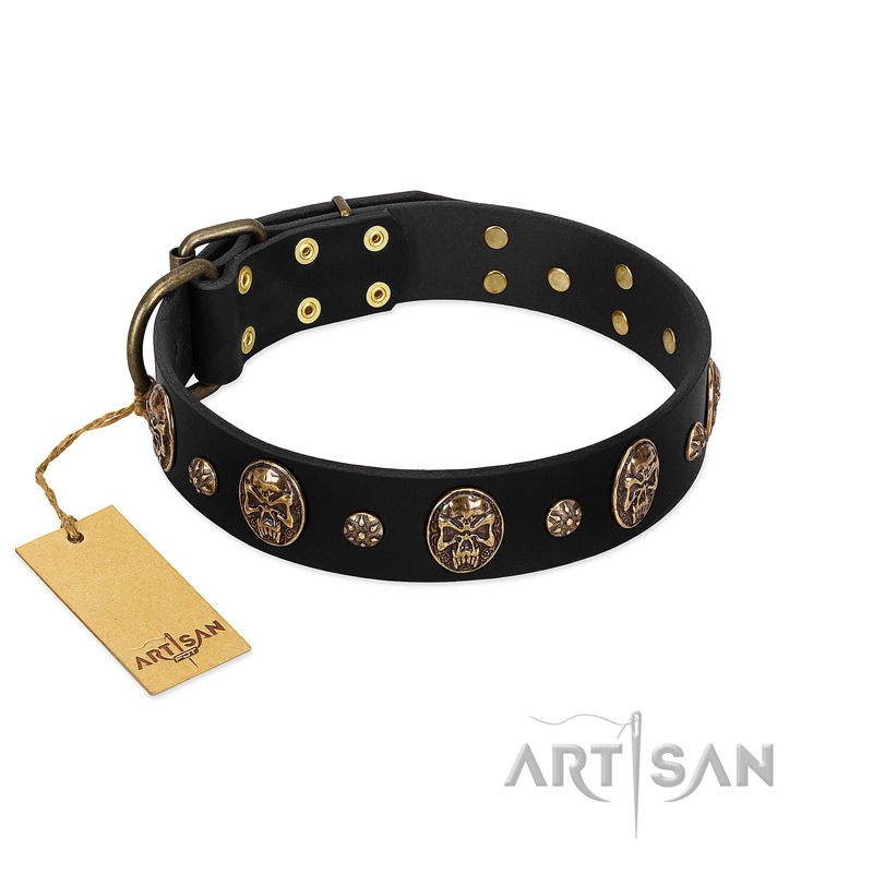 Pirate's Spell' FDT Artisan Black Leather Doberman Collar with Engraved Studs and Medallions