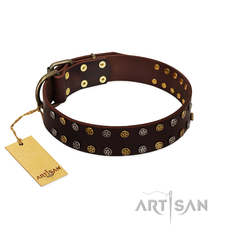 "To the Moon and Back" FDT Artisan Brown Leather Doberman Collar with Bronze-like Star Studs