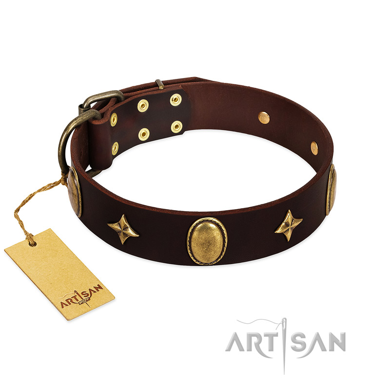 "Victory and Laurels" FDT Artisan Brown Leather Doberman Collar with Ovals and Stars