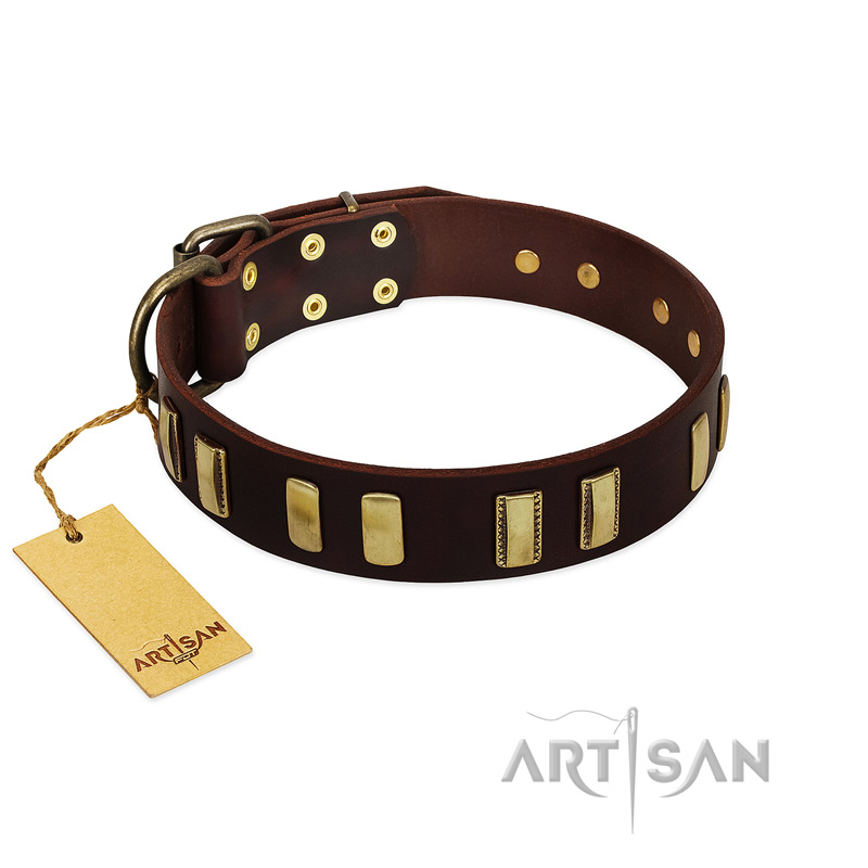 "Peace and Harmony" FDT Artisan Brown Leather Doberman Collar with Plates