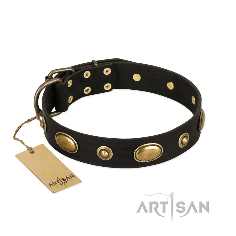 "Eye-Catcher" FDT Artisan Black Leather Doberman Collar for Walking in Style