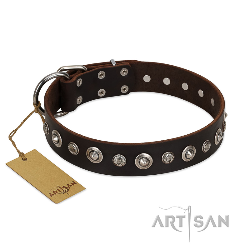 "Gorgeous Shields" FDT Artisan Brown Leather Doberman Collar with Old Silver-like Circles and Small Camomiles