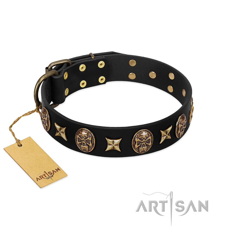 "Starry Saga" FDT Artisan Black Leather Doberman Collar with Stars and Skulls