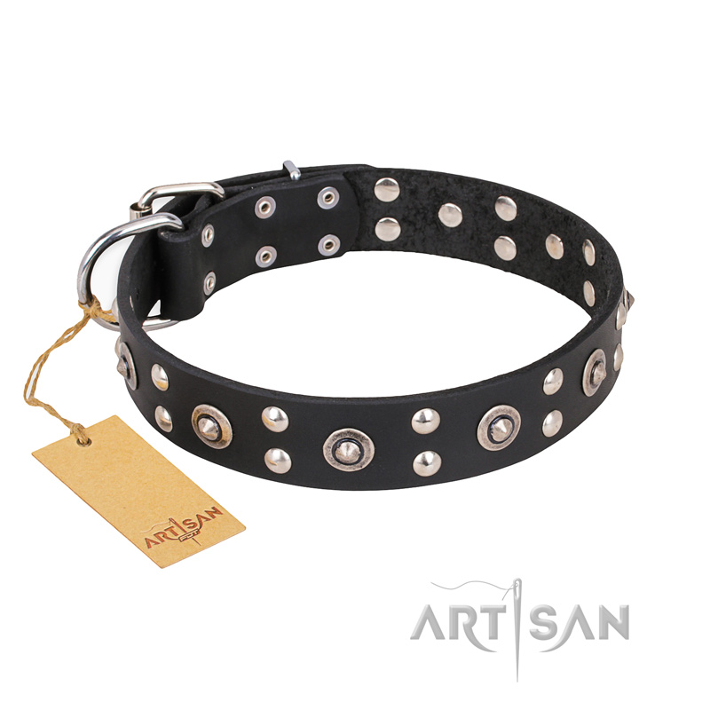 "Refined Essence" FDT Artisan Black Leather Doberman Collar with Silvery Studs