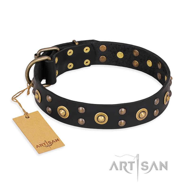"Cosmic Glow" FDT Artisan Black Leather Doberman Collar with Brass-Plated Studs
