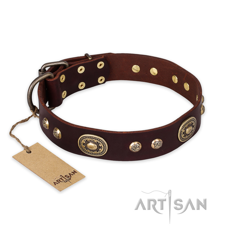 "Breath of Elegance" FDT Artisan Decorated with Plates Brown Leather Doberman Collar