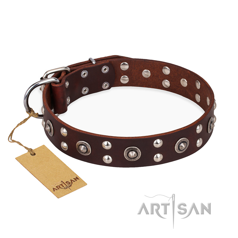 "Pirate Treasure" FDT Artisan Exciting Brown Leather Doberman Collar with Studs