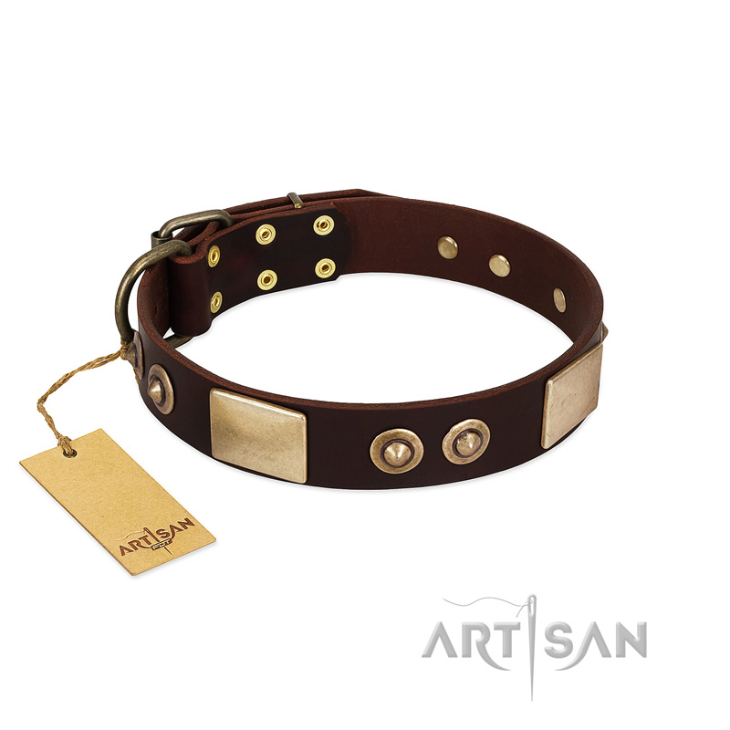 "Sense of Freedom" FDT Artisan Brown Leather Doberman Collar with Old Bronze-Plated Studs and Plates
