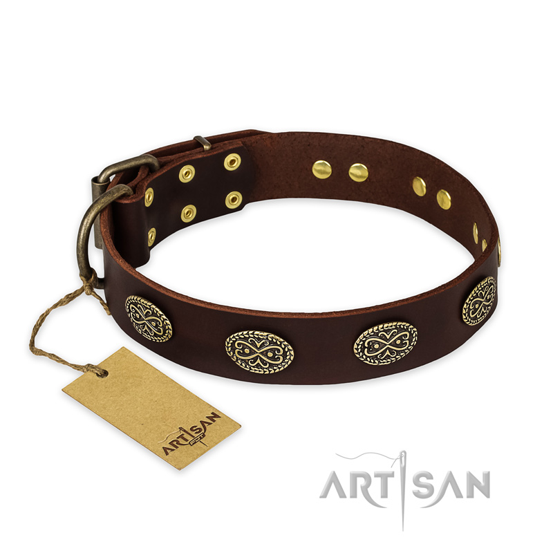 "Chocolate kiss" FDT Artisan Leather Doberman Collar with Old Bronze Look Oval Plates