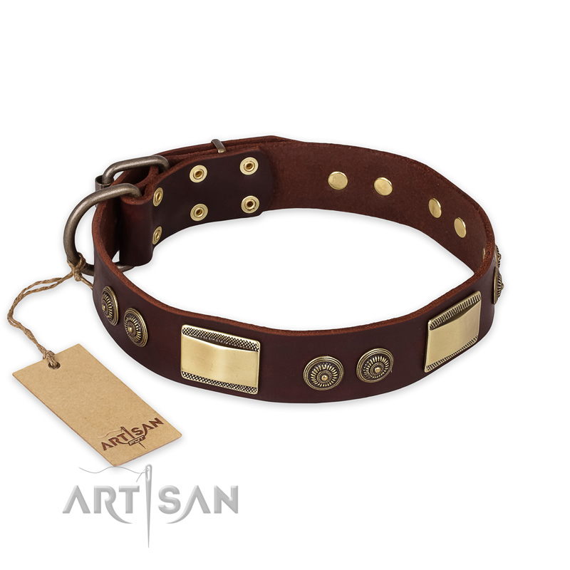 "Golden Stones" FDT Artisan Brown Leather Doberman Collar with Old Bronze Look Plates and Circles