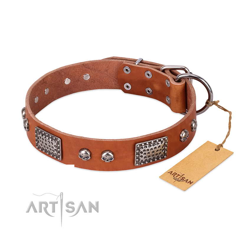 "Sparkling Skull" FDT Artisan Tan Leather Doberman Collar with Old Silver Look Plates and Skulls