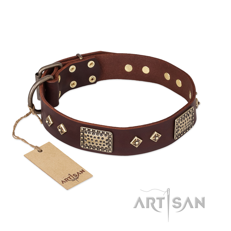 "Loving Owner" FDT Artisan Decorated Leather Doberman Collar with Plates and Studs