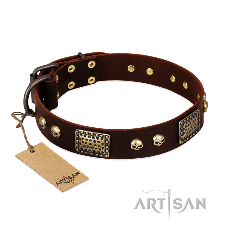 "Magic Amulet" Brown Leather Doberman Collar with Skulls and Plates