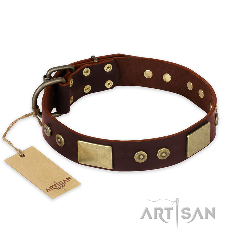 "Shining Armour" FDT Artisan Brown Leather Doberman Collar with Decorations