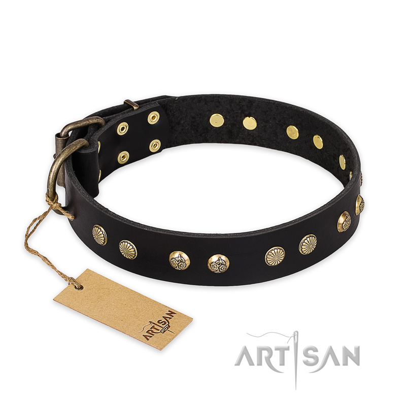 "Black Elegance" FDT Artisan Leather Doberman Collar with Round Studs
