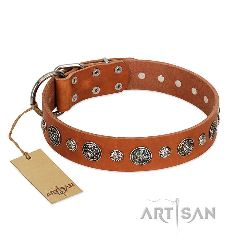 "Natural Beauty" FDT Artisan Tan Leather Doberman Collar with Shining Silver-like Studs