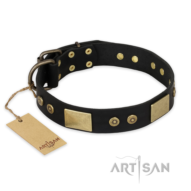 "Spanish night" FDT Artisan Fashionable Leather Walking Doberman Collar
