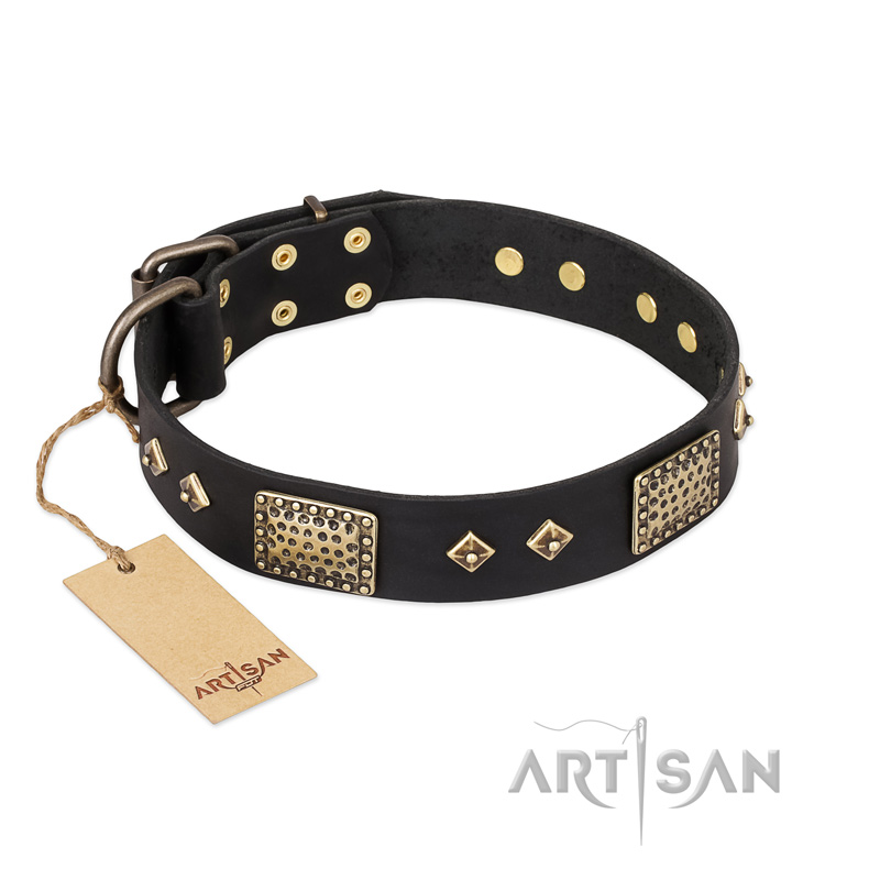 "Jewel Passion" FDT Artisan Fashionable Black Leather Doberman Collar - Click Image to Close