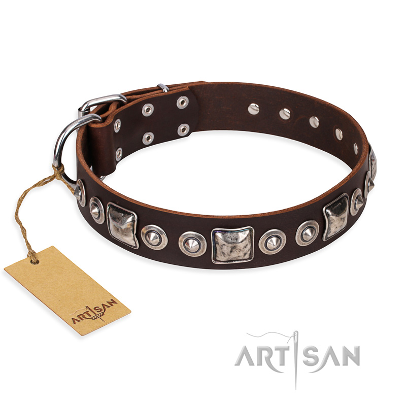 "Pierian spring" FDT Artisan Brown Leather Doberman Collar with Silvery Decorations
