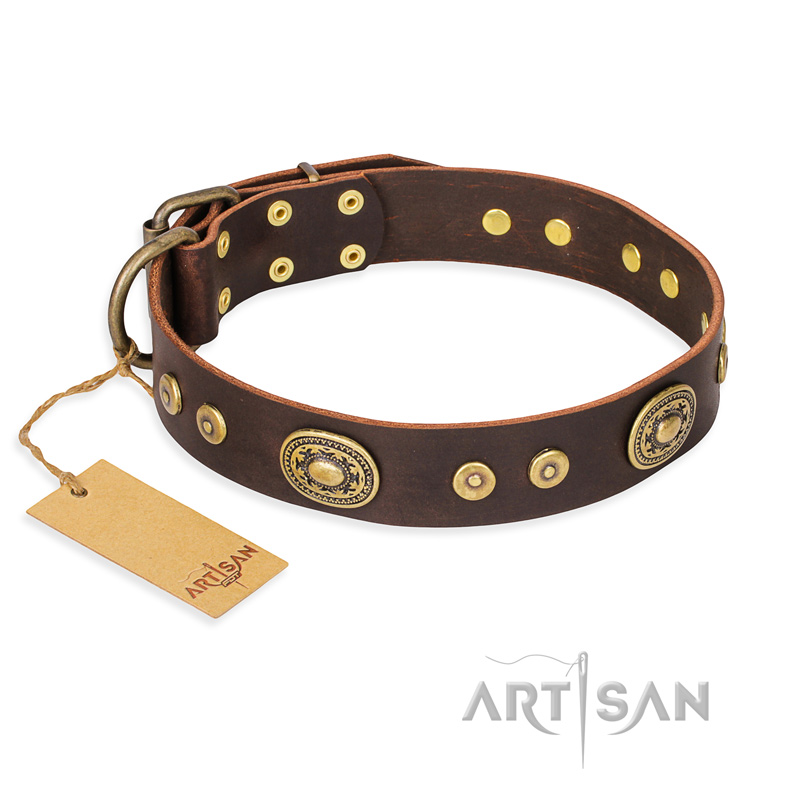 "One-of-a-Kind" FDT Artisan Handmade Decorated Brown Leather Doberman Collar