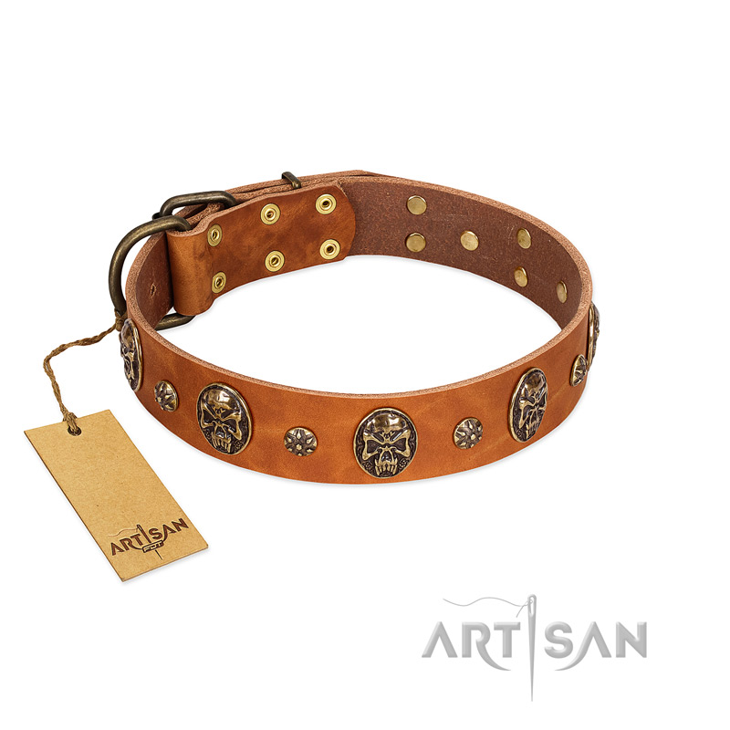 "Rockstar" FDT Artisan Tan Leather Doberman Collar with Engraved Studs and Medallions