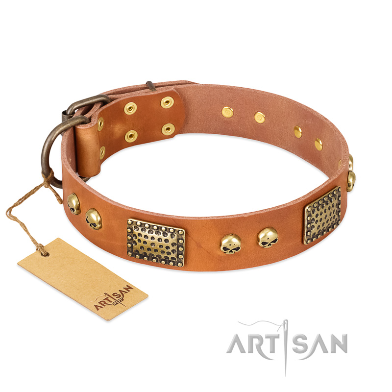 "Saucy Nature" FDT Artisan Tan Leather Doberman Collar with Old Bronze Look Plates and Skulls