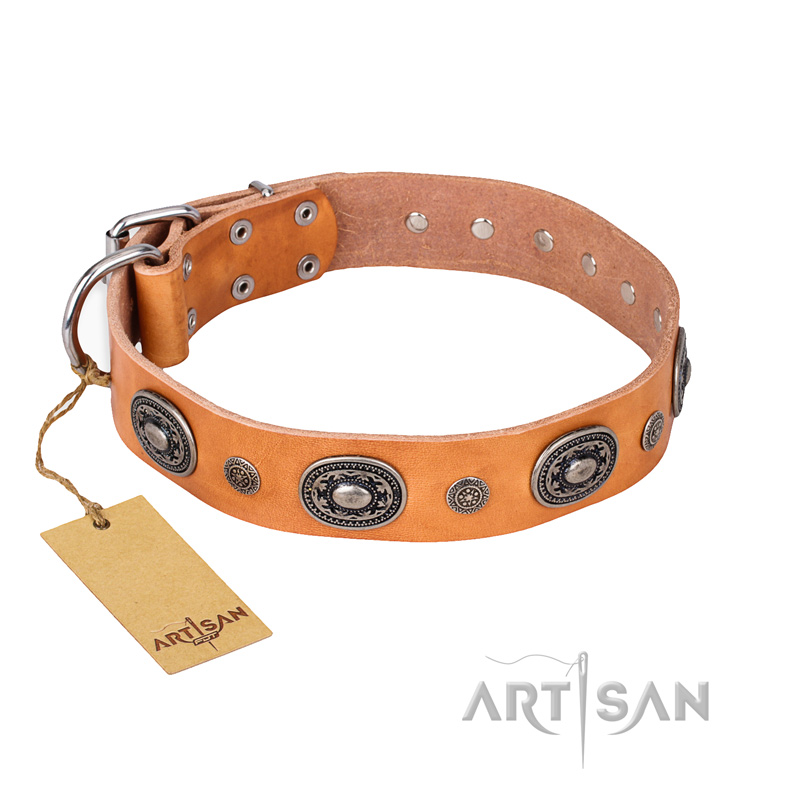 "Twinkle Twinkle" FDT Artisan Incredible Studded Tan Leather Doberman Collar
