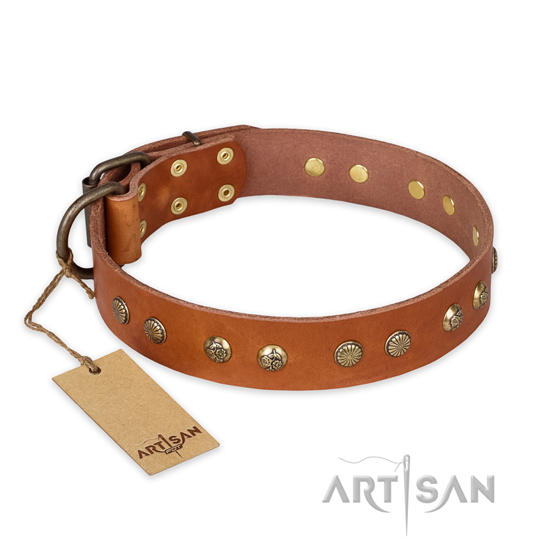 "Spring Flavor" FDT Artisan Adorned Leather Doberman Collar with Old Bronze-Plated Engraved Studs