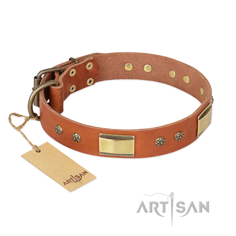 "Enchanting Spectacle" FDT Artisan Tan Leather Doberman Collar with Old Bronze Look Plates and Round Studs