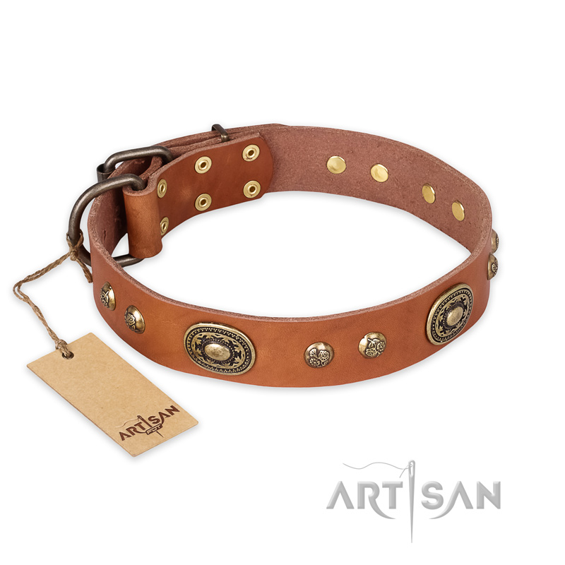 "Stunning Dress" FDT Artisan Tan Leather Doberman Collar with Old Bronze Look Plates and Studs