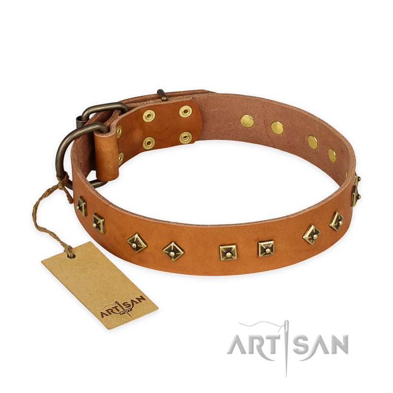 "Autumn Story" FDT Artisan Leather Doberman Collar with Old Bronze Look Studs
