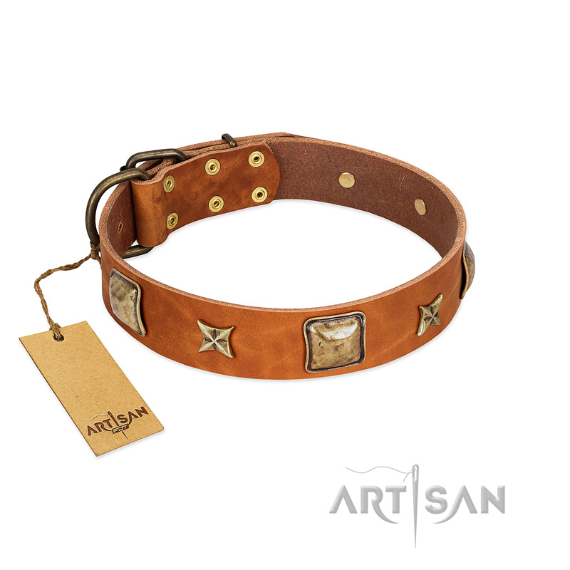 "Celtic Tunes" FDT Artisan Tan Leather Doberman Collar Adorned with Stars and Squares