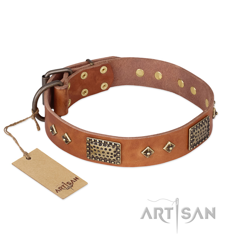 "Catchy Look" FDT Artisan Decorated Tan Leather Doberman Collar - Click Image to Close
