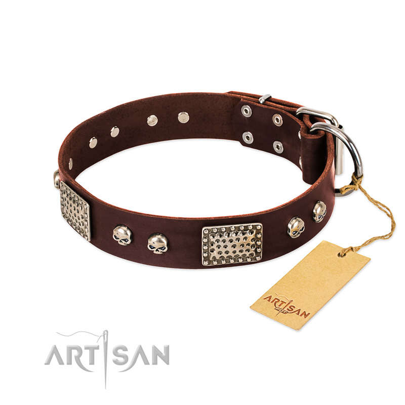 "Pirate Skull" FDT Artisan Brown Leather Doberman Collar with Old Silver Look Plates and Skulls