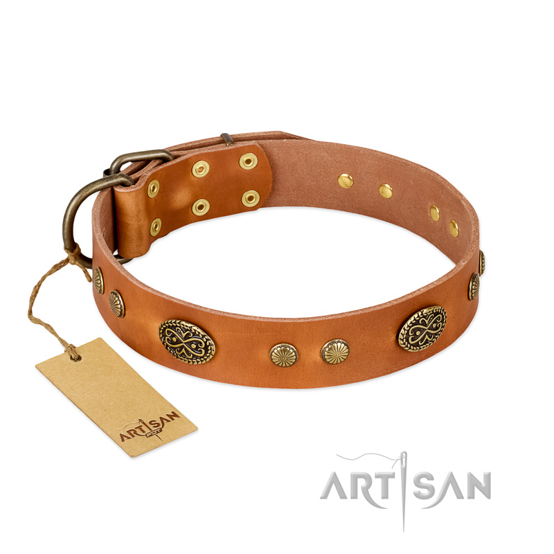 "Sun Beams" FDT Artisan Tan Leather Doberman Collar with Decorations