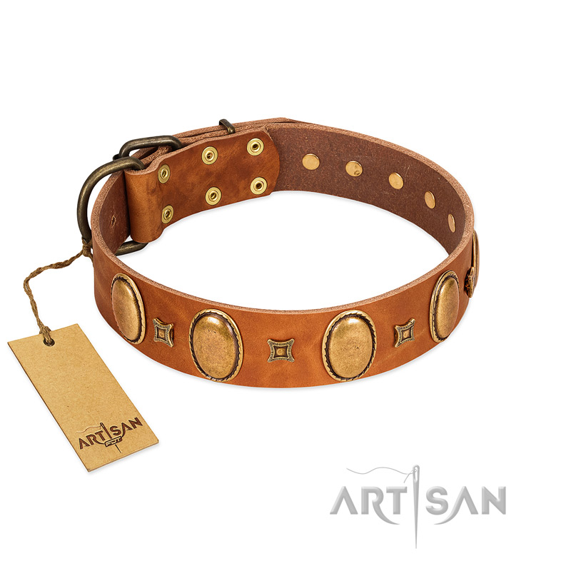 "Glossy Autumn" Designer Handmade FDT Artisan Tan Leather Doberman Collar with Ovals and Studs